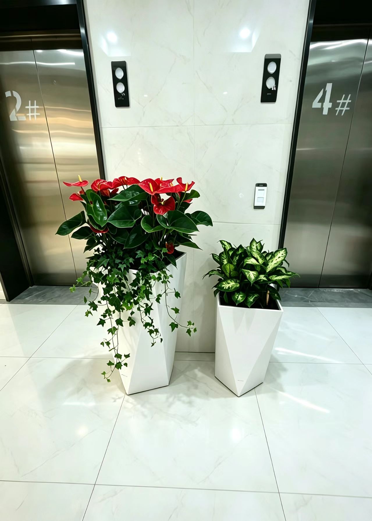 美波园林绿植租摆服务实景：写字楼办公区