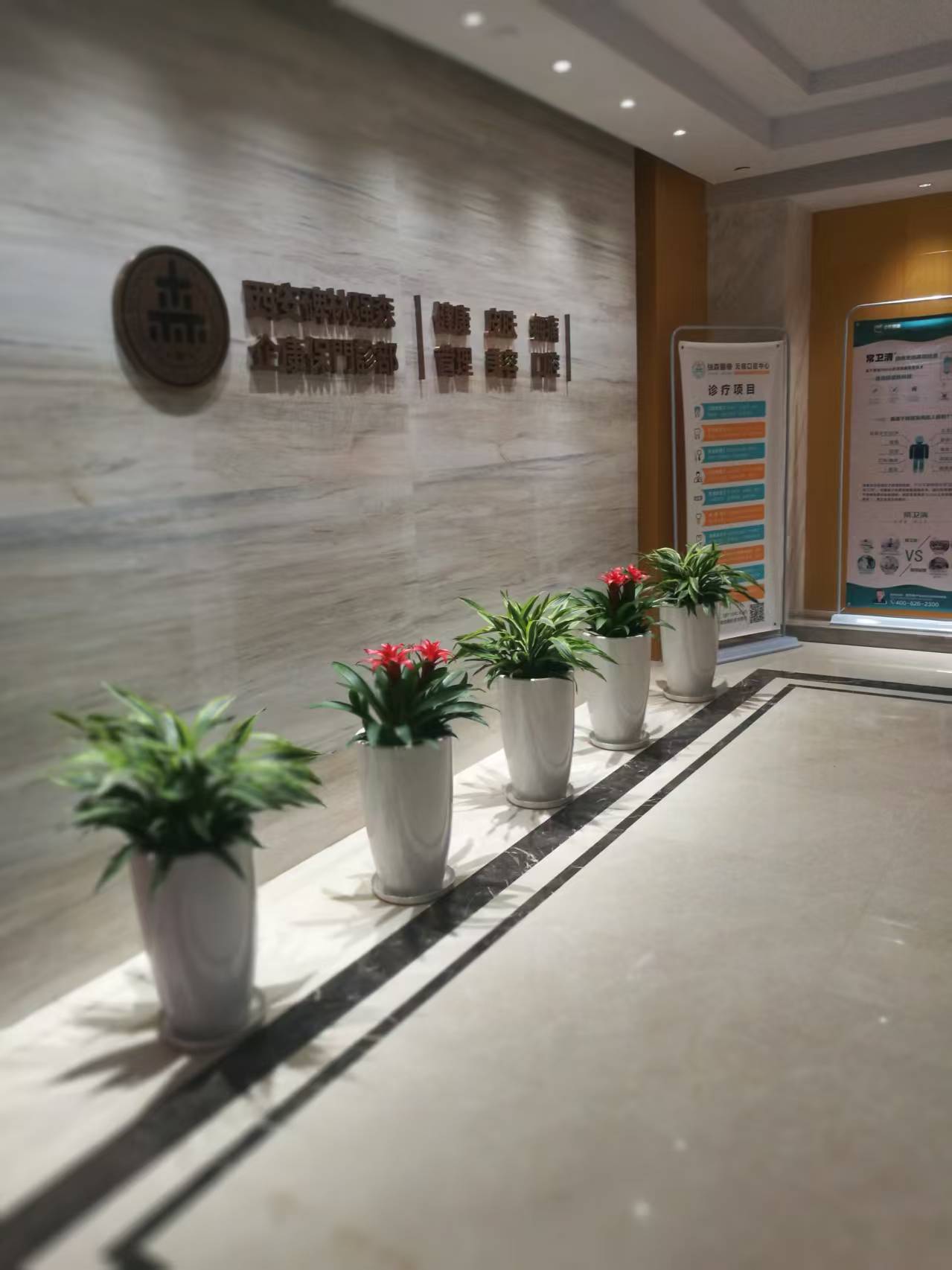美波园林绿植租摆服务实景：门店绿植布置