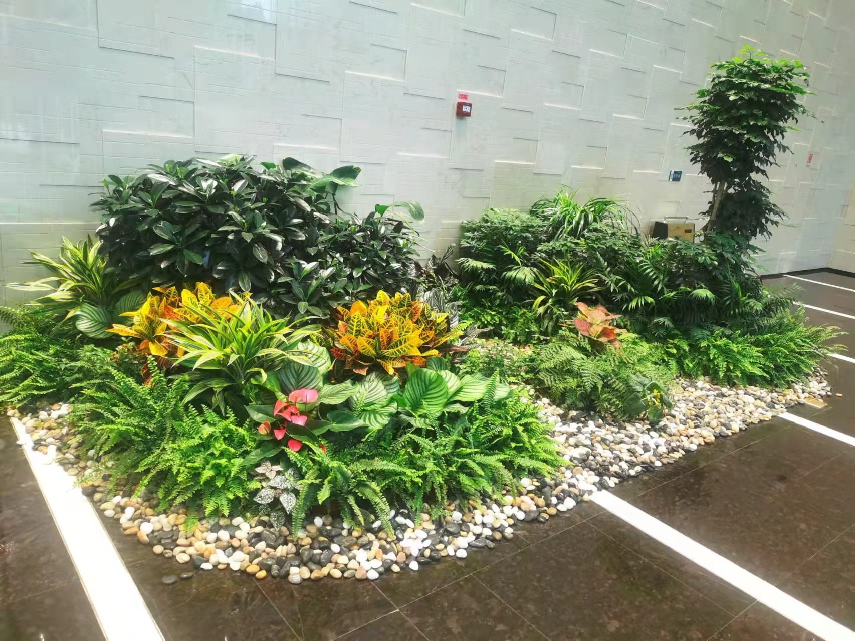 美波园林绿植租摆服务实景：公共区域绿植布置
